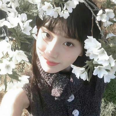 维多利亚瀑布事件